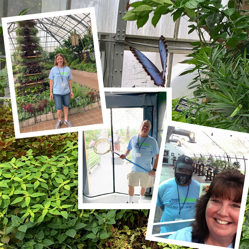 Employees volunteer at Krohn Conservatory